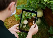 Projeto usa iPad para incentivar o contato com a natureza