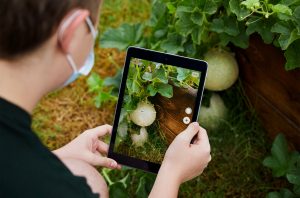 Com o iPad em mãos, estudantes de uma escola norte-americana aprendem, na prática, tudo sobre natureza e segurança alimentar